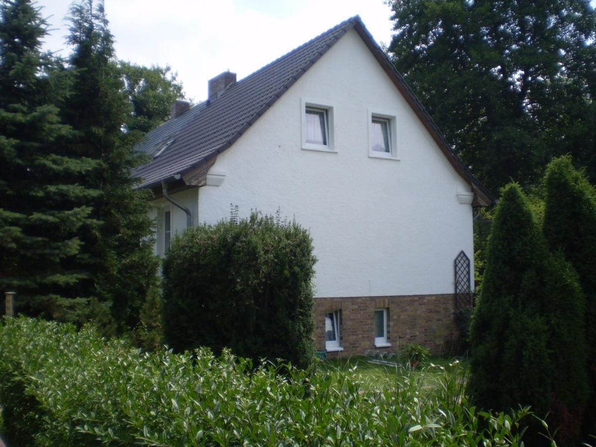 Lachmoewe